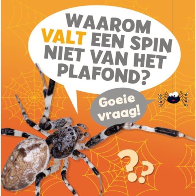 Waarom Valt Een Spin Niet Van Het Plafond? - Goeie Vraag! - Nancy Dickmann
