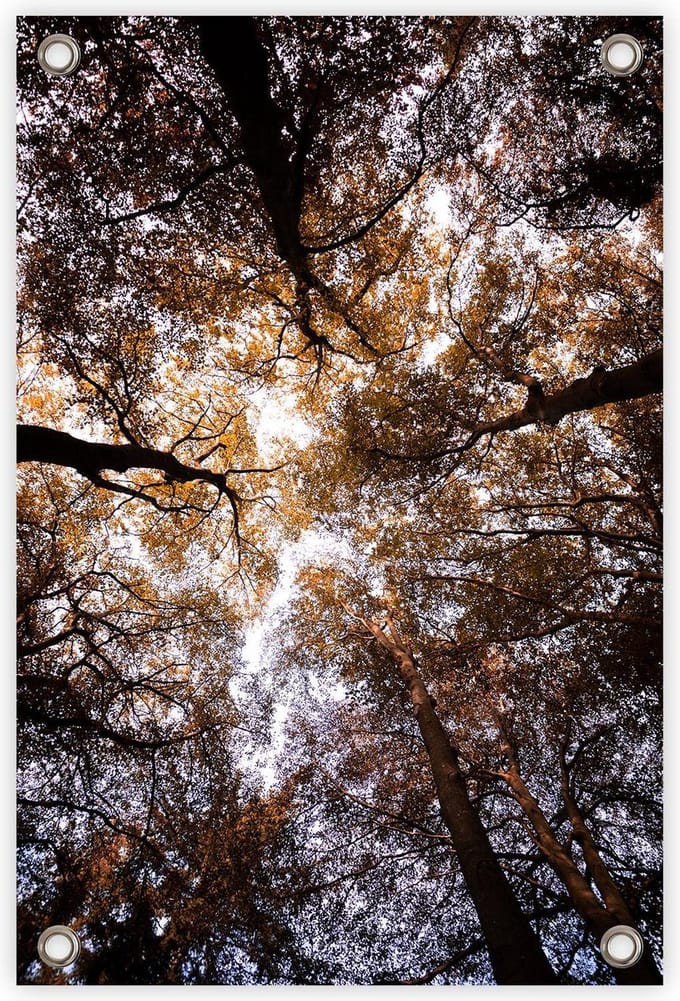 Tuinposter “Bladerdak” - “60x90cm” - poster tuin