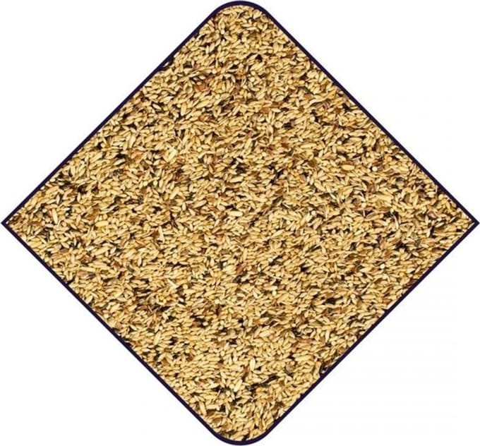 Witte Molen Expert Premium Wilde Zaden 15KG