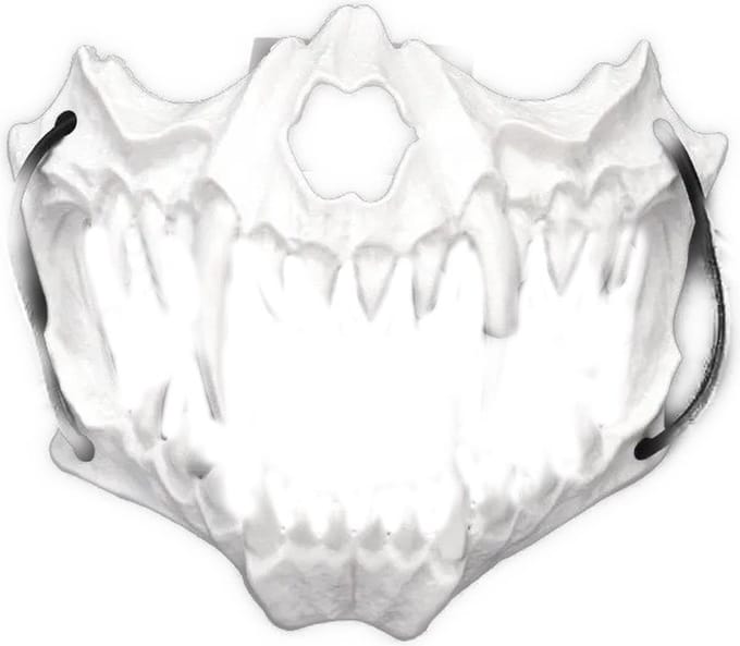 BamBella ® - Halloween Masker Skull verkleden feest festival carnaval makers