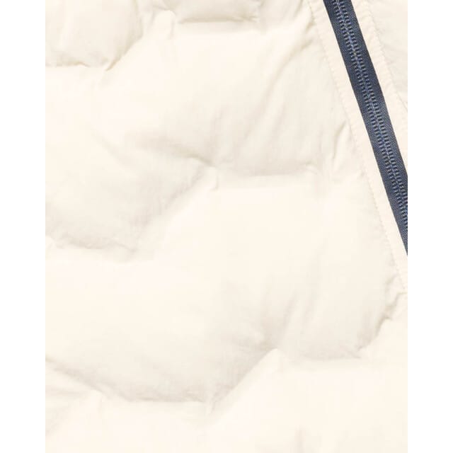 Campbell vest atlas