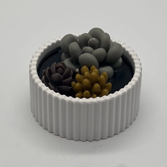 Kaars in glazen pot - cactus collectie - 789