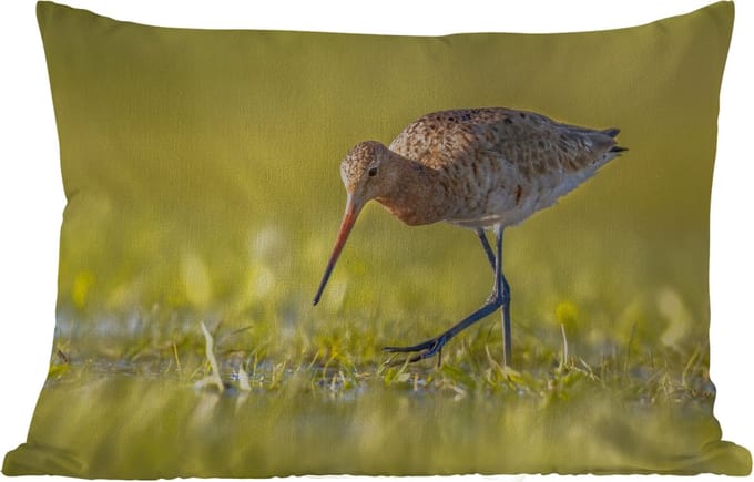 Buitenkussens - Vogels - Gras - Landschap - Grutto - 60x40 cm - Weerbestendig