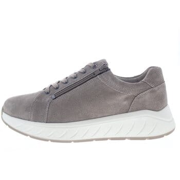 Lage Sneakers Solidus Ken