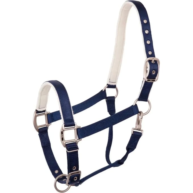 Halster voor paarden BR Equitation Event