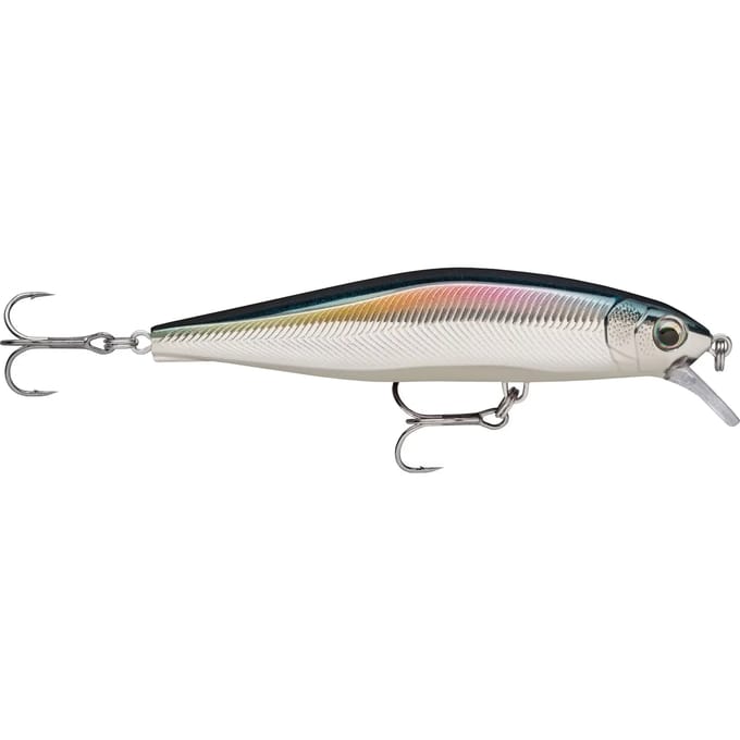 Lok Rapala Prec.Xtreme Air B.Sw 100 15,5g