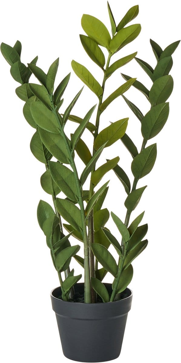 ZAMIIFOLIA - Kunstplant - Groen - 76 cm - Synthetisch materiaal