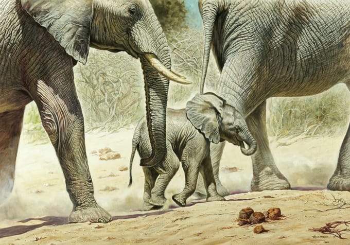 Kunstdruk Renato Casaro - Go Baby Go 100x70cm