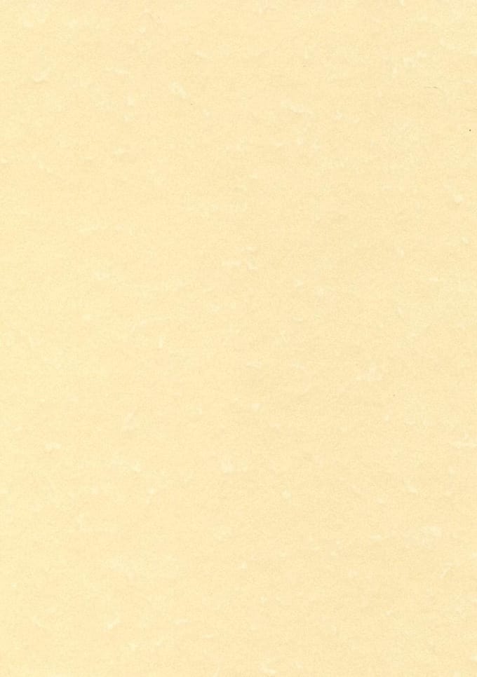 THEMA A4 CHAMPAGNE 165G 50V