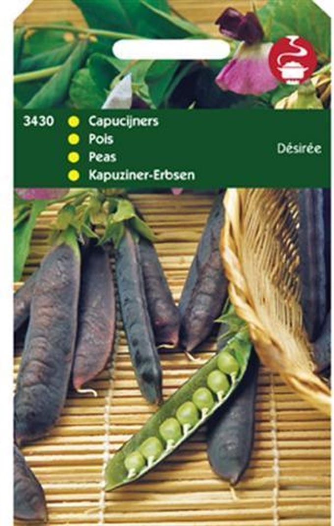 Hortitops Zaden - Capucijners Desiree, Lage Blauwschokker