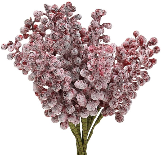 Bessenpluk rood, bevroren 21cm 12 st