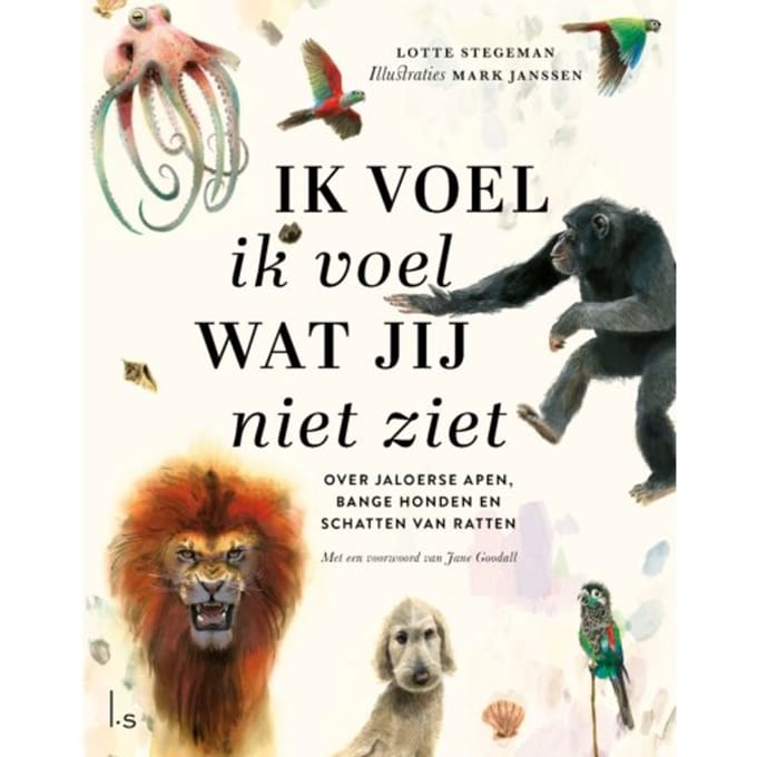 Ik Voel Ik Voel Wat Jij Niet Ziet - Lotte Stegeman
