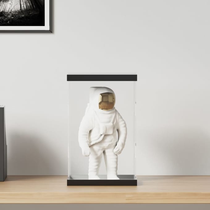 vidaXL - Vitrine - transparant - 22x18x35 - cm - acryl