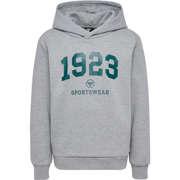 Jongen met capuchon sweatshirt Hummel hmlNIPPS