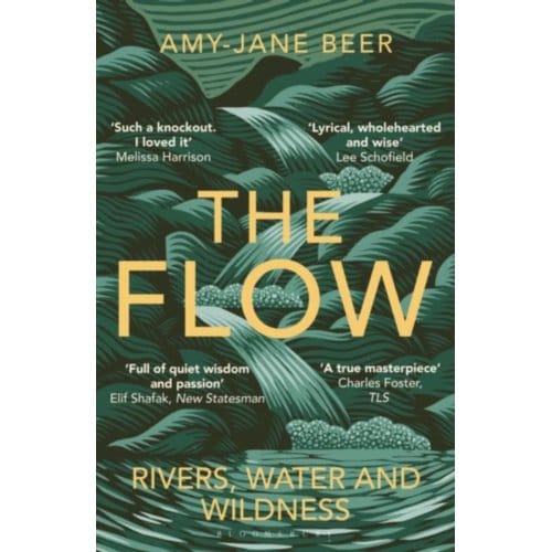 The Flow - Amy-Jane Beer