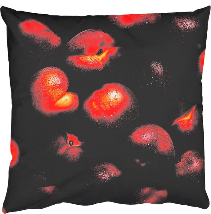 Sierkussens - Kussentjes Woonkamer - 40x40 cm - Fruit - Close up - Nectarines