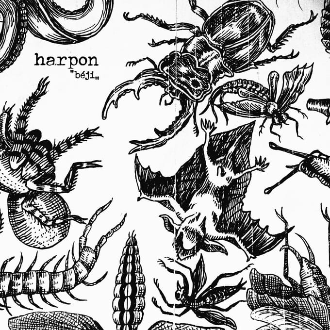 Harpon - Béji (LP)