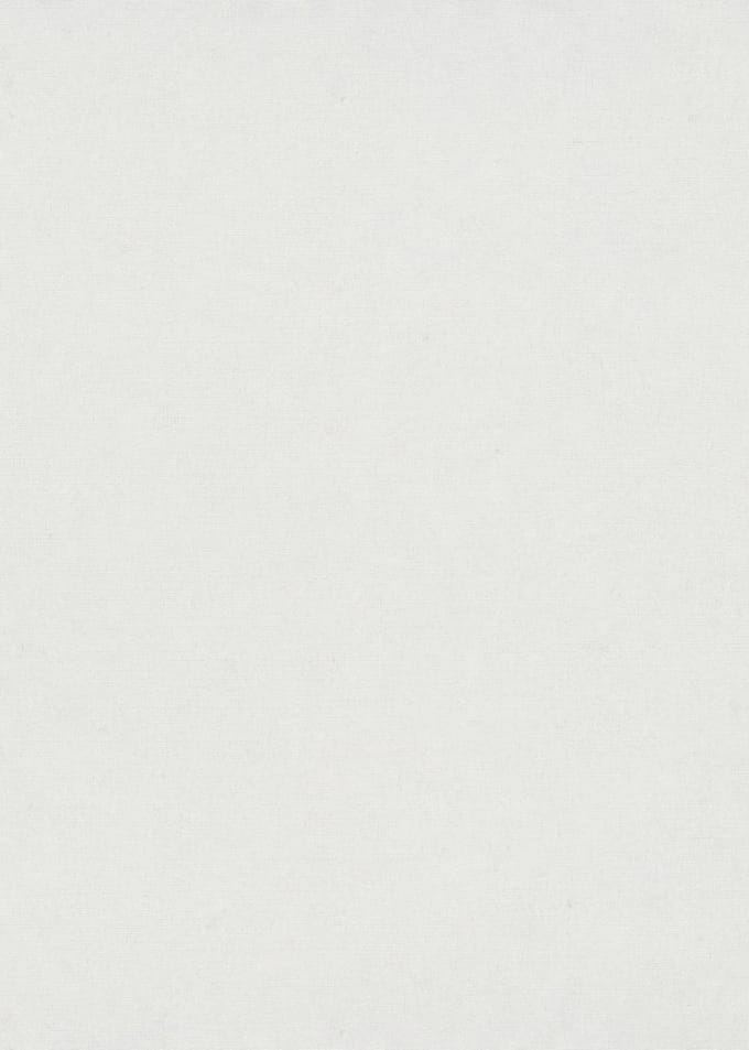 Erismann Vinylbehang 10430-01 - Gentle - Wit - 53cm x 10.05m