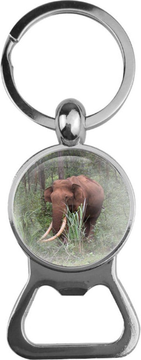 Bieropener Glas - Olifant