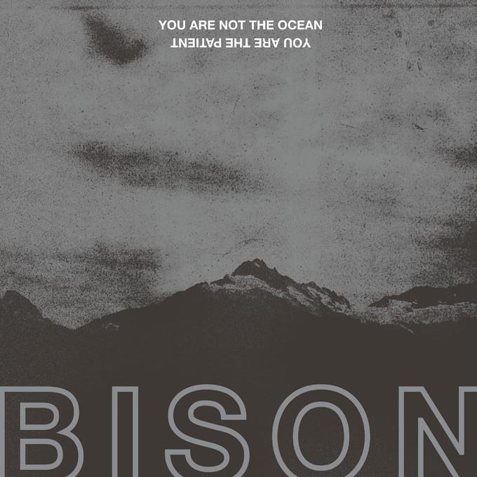 Bison - You Are Not The Ocean You Are The Patient (CD)
