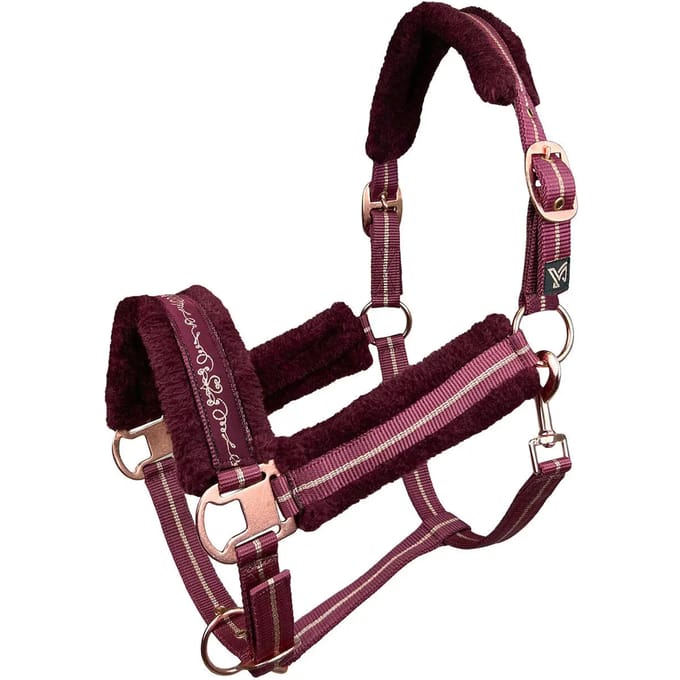 Halster voor paarden York Lira