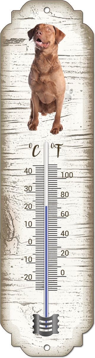 Thermometer: Chesapeake Bay Retriever | Hondenras | Temperatuur binnen en buiten | -25 tot +45C