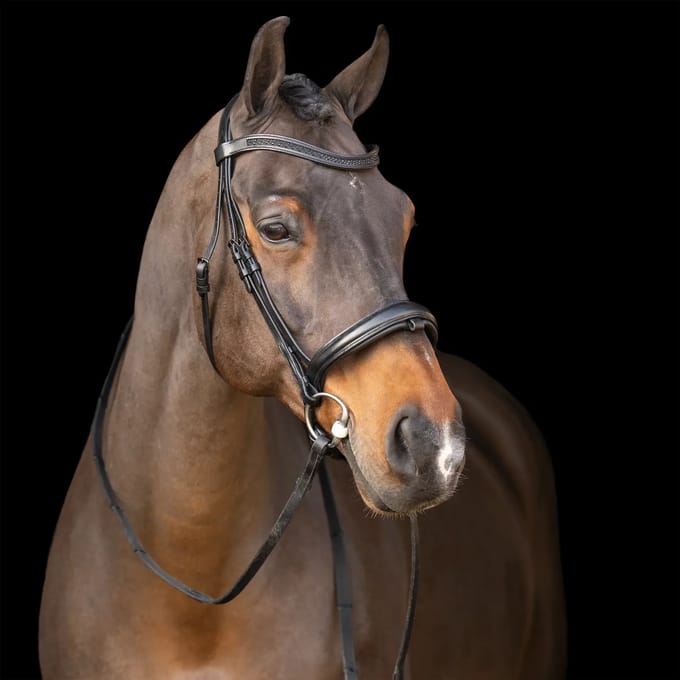 Hengsttuig met Engelse neusriem Imperial Riding