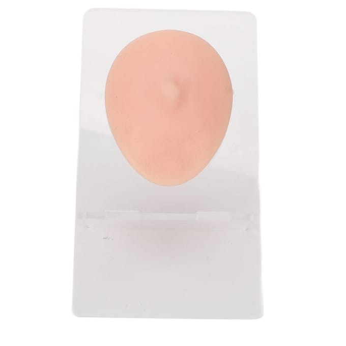 Modèle de mamelon unique en silicone souple 3D Simulation élastique Réutilisable Accessoires d'affichage Modèle de piercing corporel