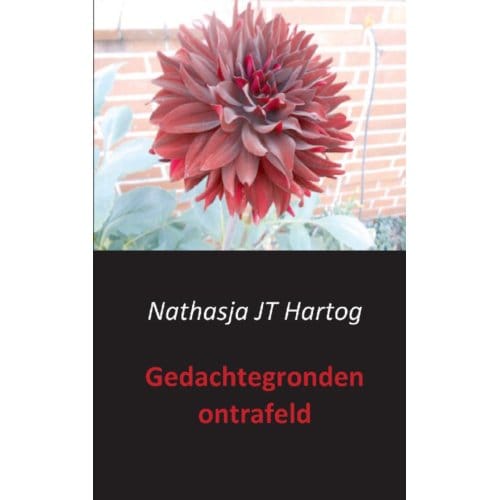 Gedachtegronden Ontrafeld - Nathasja JT Hartog
