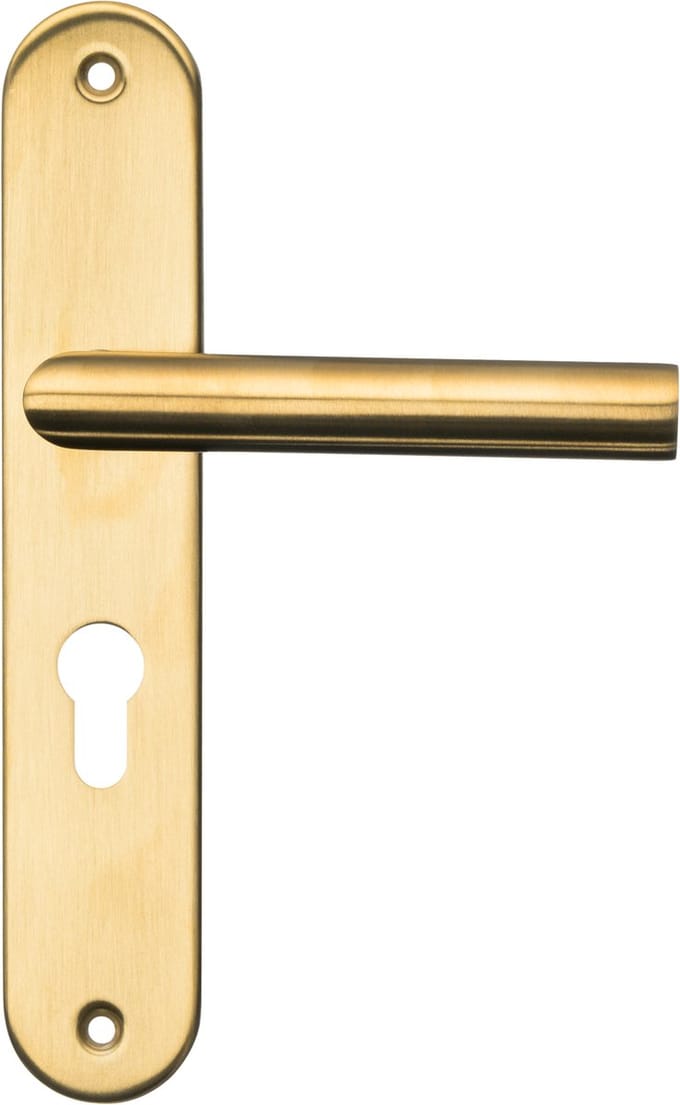 Ostiumhome® Andria - Deurklink met Cilindergat - Mat Goud - op Schild - Rond - Complete Set