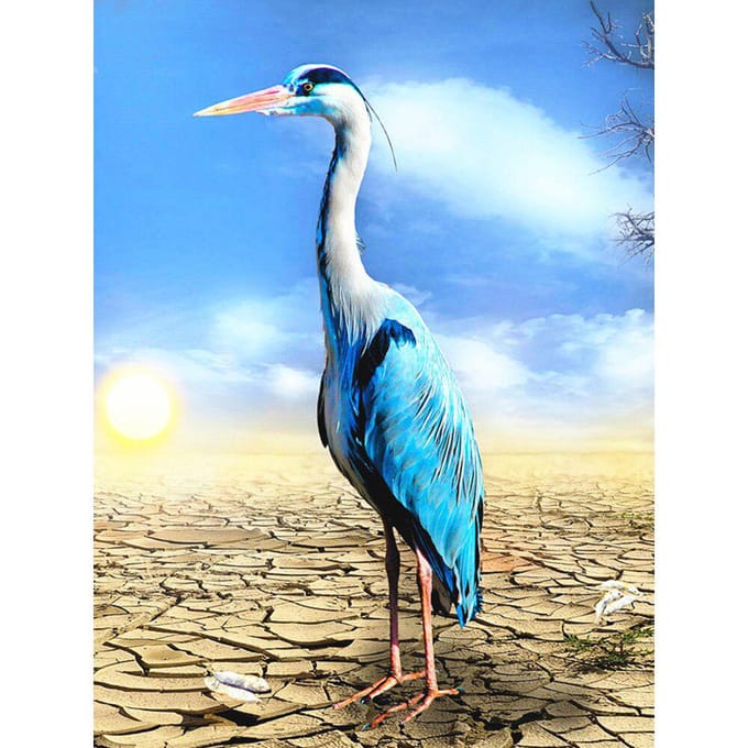 5D bricolage diamant peinture animaux diamant broderie 20X30CM white