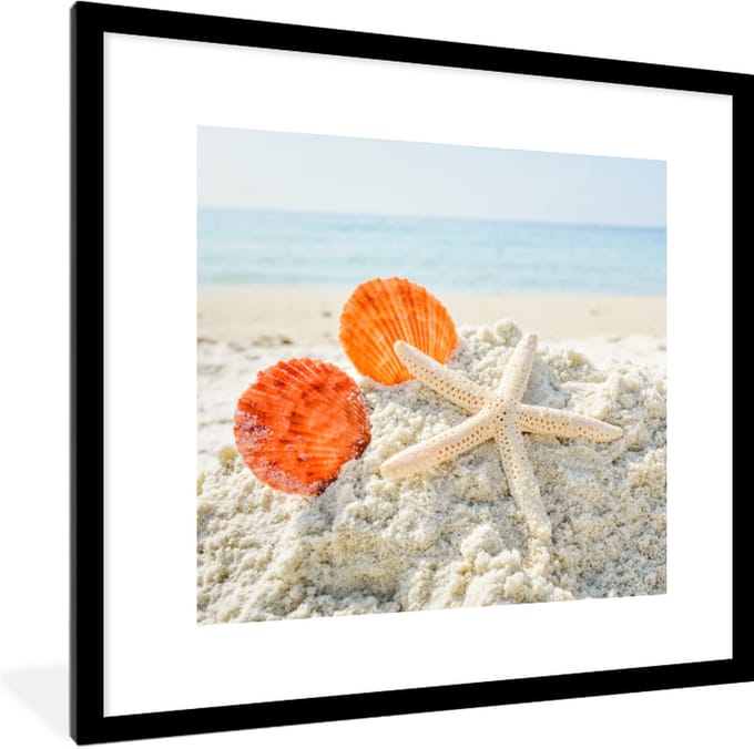 Fotolijst incl. Poster - Strand - Schelpen - Zeester - 40x40 cm - Posterlijst