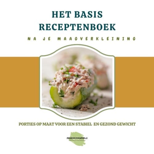 Het Basisreceptenboek Na Je Maagverkleining - Marie-Josee Koks