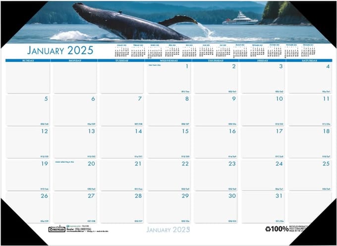 Maandelijkse Bureaukalender 2025 Onderlegger - Oceaanleven Design - Groot Formaat 76x40 cm