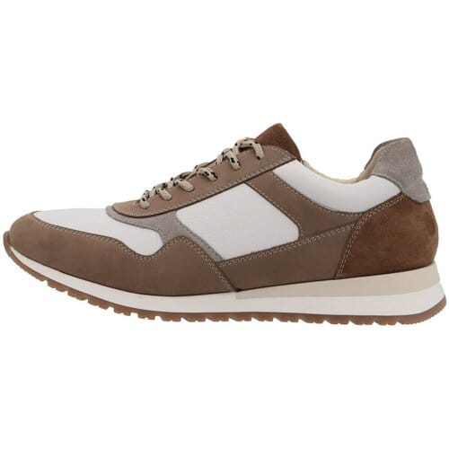Lage Sneakers Ara -