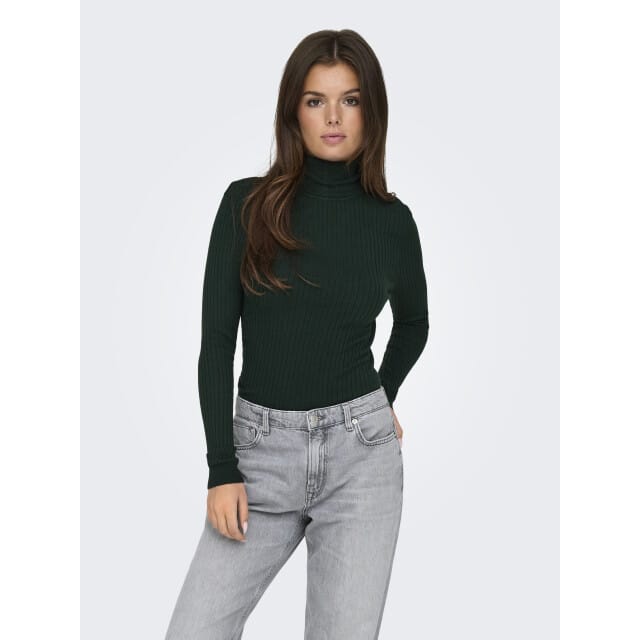 ONLY - ONLKAROL L/S ROLLNECK PULLOVER KNT NOOS Dames Vest