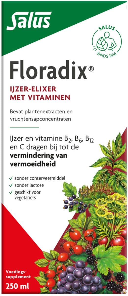 Salus Floradix IJzer-elixir - Met Ijzer En Vitamine B12 - 250ML