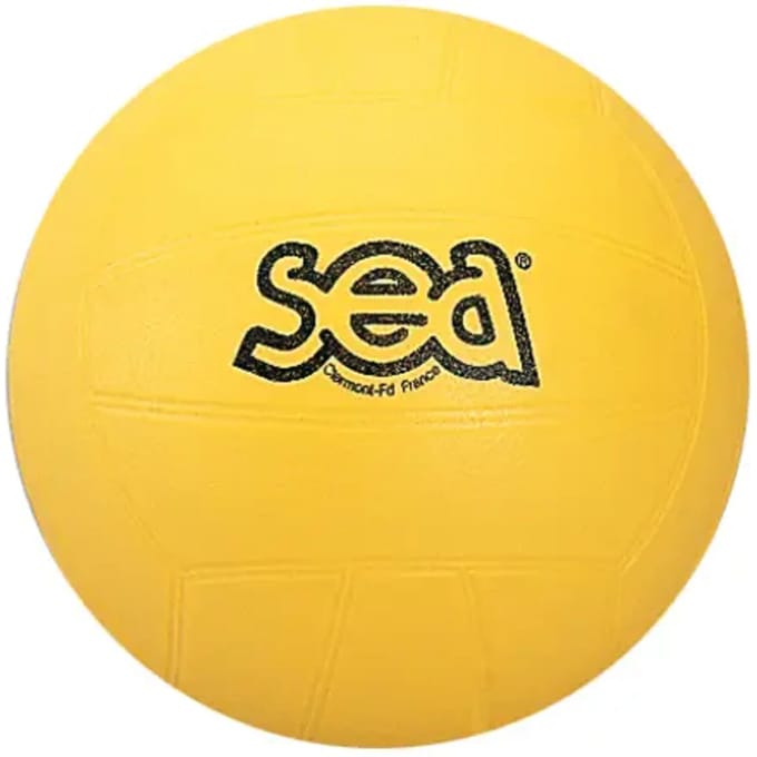 Inwijdingsvolleybal Sporti Frankrijk Sea