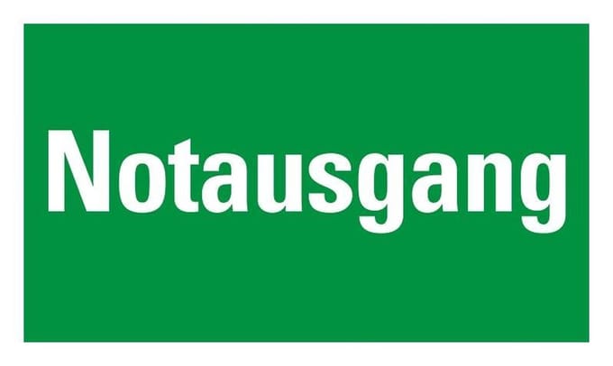 Pickup kunststoff Schild 25x15 cm NOTAUSGANG