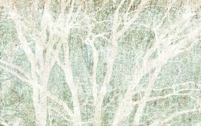 Fotobehang - Peaceful Place 400x250cm - Vliesbehang
