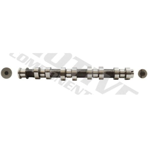 Nokkenas  MOTIVE T2907