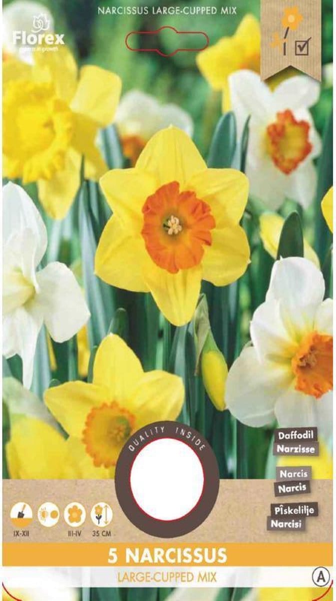 Narcis grootkronig mix