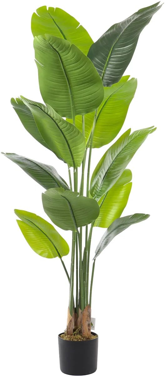 Kunst Strelitzia - Kunstplant | 165cm | Groene Nep Strelitzia plant Deluxe