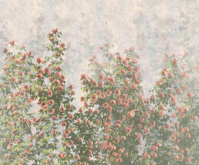 Fotobehang Wall Roses - Meerkleurig - 2,50m X 300cm