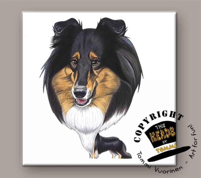 Tegel Hond Schotse Collie