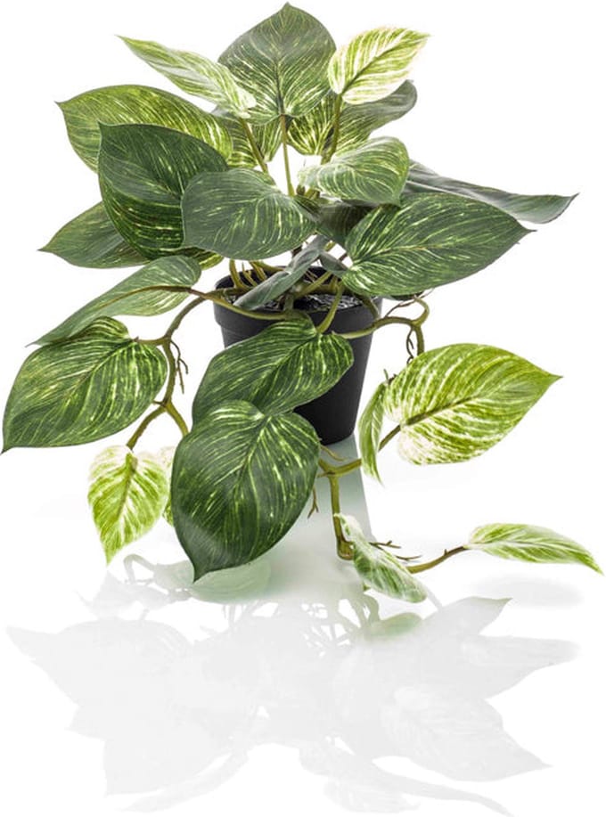 Emerald - Kunstplant in pot Scindapsus groen/wit 55cm - Kunstplant voor binnen