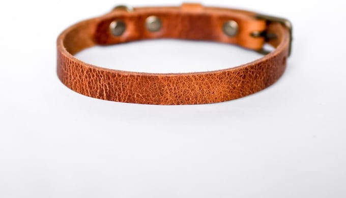 Cooper & Quint No Fuss - Halsband Hond - Leren Halsband Hond - Camel - Oud messing - Large