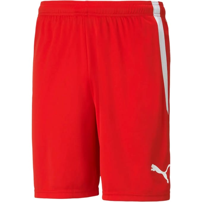 Short Puma Team Liga