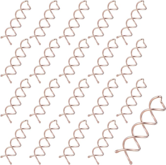 Pack van 20 Spiral Haarclips voor Diverse Haardrachten