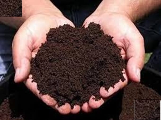 Vermicompost | Wormenmest zak ca 40 Liter